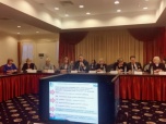 Лариса Свиридова принимает участие в координационном совете уполномоченных по правам  ребенка  СЗФО