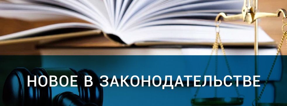 Какие законы вступили и вступают в силу в декабре 2024 года?