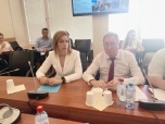 Лариса Свиридова выступила на круглом столе в Государственной Думе