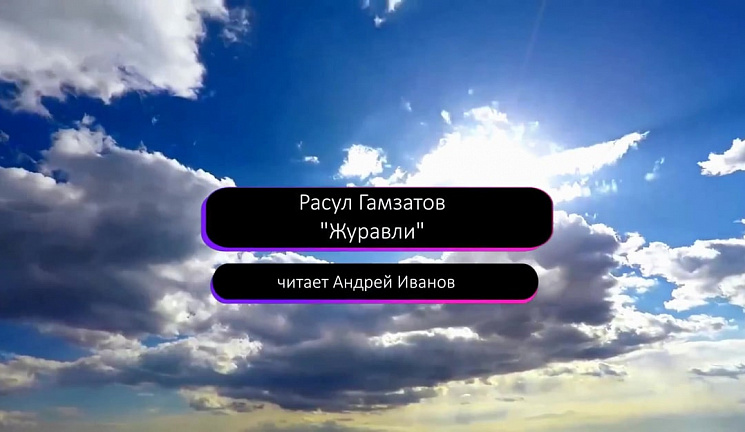 22 октября — День белых журавлей
